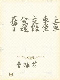 在公交车上高潮了还能坐车吗