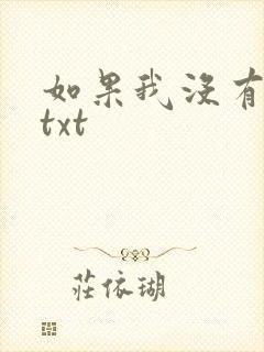 如果我没有爱过txt