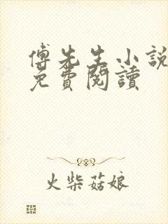 傅先生小说全文免费阅读