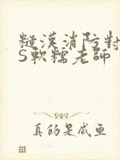 糙汉消防对长VS软糯老师