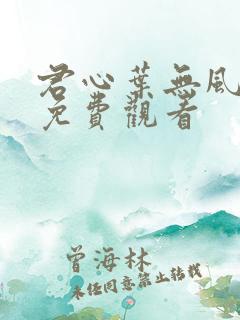 君心叶无风短剧免费观看