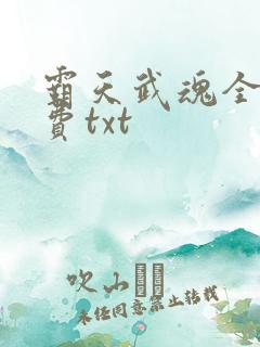 霸天武魂全文免费txt