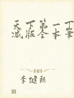 天下第一丁无删减版全本笔趣阁