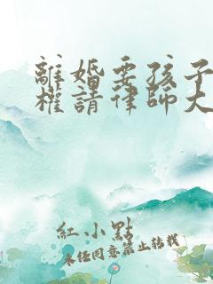 离婚要孩子抚养权请律师大概需要多少钱