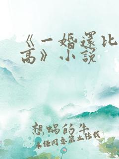《一婚还比一婚高》小说