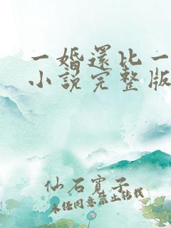 一婚还比一婚高小说完整版