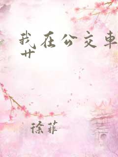我在公交车上被艹