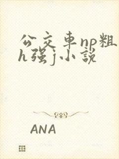 公交车np粗暴h强j小说