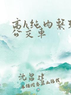 高h纯肉系列h公交车