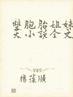 双胞胎姐妹乐翻天小说全文阅读