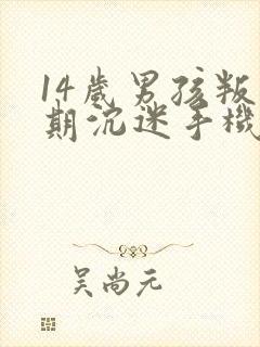 14岁男孩叛逆期沉迷手机怎么管教
