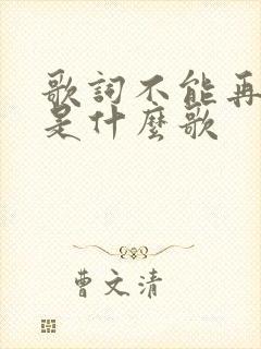 歌词不能再爱你是什么歌