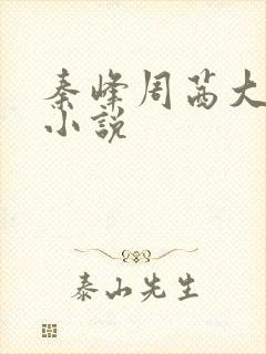 秦峰周茜大结局小说