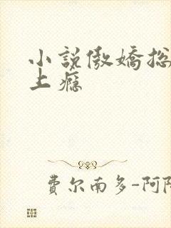 小说傲娇总裁宠上瘾