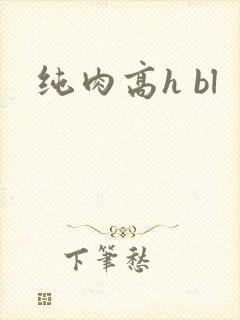 纯肉高h bl