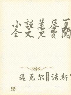 小说叶辰夏若雪全文免费阅读无弹窗