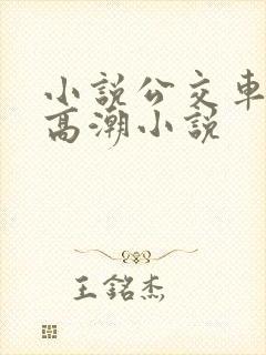 小说公交车被上高潮小说