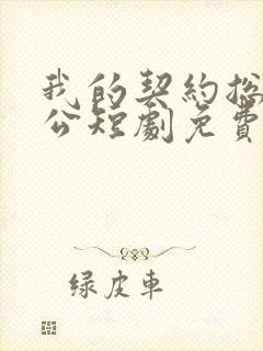 我的契约总裁老公短剧免费观看高清