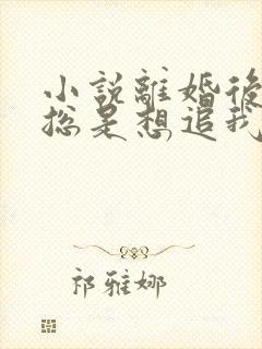 小说离婚后前夫总是想追我