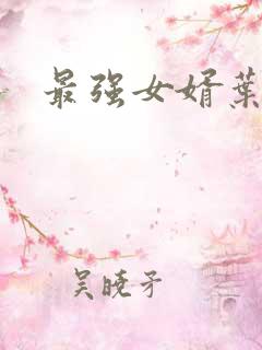 最强女婿叶辰