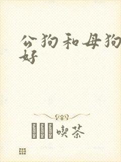 公狗和母狗哪个好