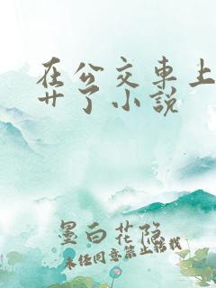 在公交车上被人艹了小说