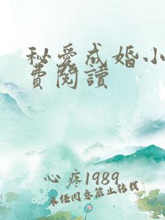 秘爱成婚小说免费阅读