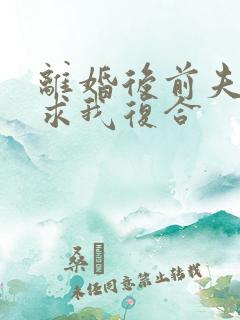 离婚后前夫哭着求我复合