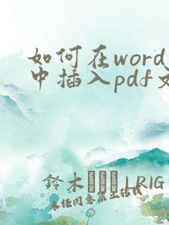 如何在word中插入pdf文件