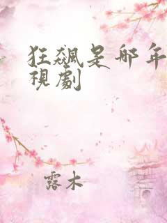 狂飙是哪年的电视剧