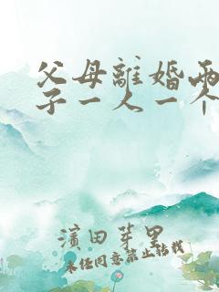 父母离婚两个孩子一人一个,抚养费怎么拿