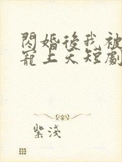 闪婚后我被总裁宠上天短剧演员表