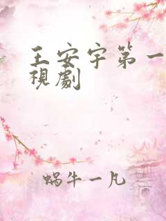 王安宇第一部电视剧