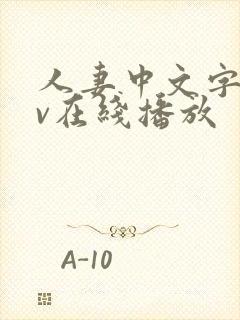 人妻中文字幕av在线播放