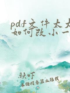 pdf文件太大如何改小一点