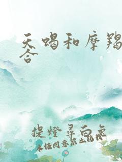 天蝎和摩羯合不合