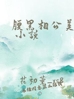 腹黑相公美如花 小说