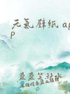 元气壁纸 app