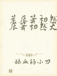 叶辰萧初然 叶辰萧初然大结局看完