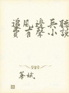 追风边兵听书免费有声小说