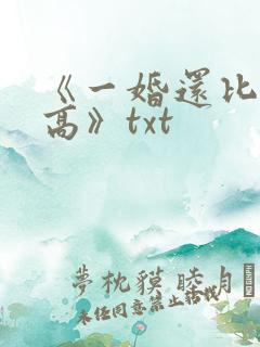 《一婚还比一婚高》txt
