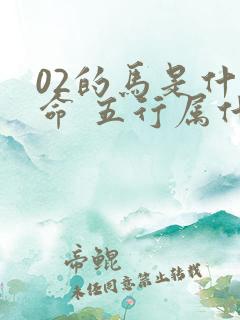 02的马是什么命 五行属什么