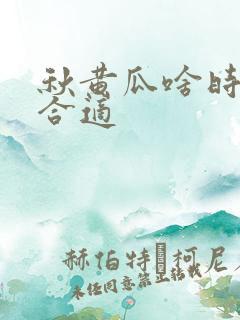 秋黄瓜啥时候种合适