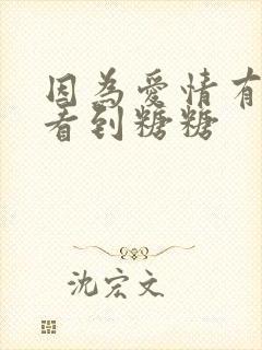 因为爱情有多美看到糖糖