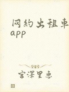 网约出租车平台app