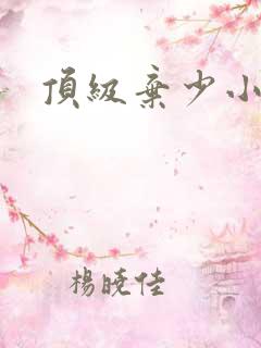 顶级弃少小说网