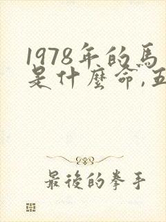 1978年的马是什么命,五行属性
