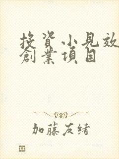 投资小见效快的创业项目