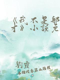 《我不是那种人才》小说免费阅读