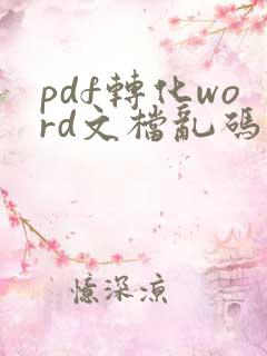 pdf转化word文档乱码怎么处理